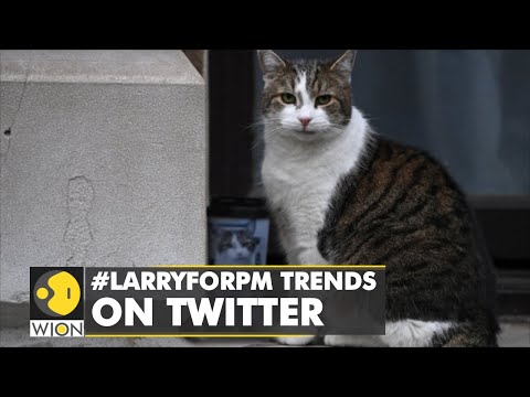 A darling of the media: #LarryForPM trends on Twitter | Latest International News | WION