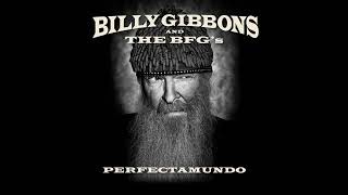 Billy Gibbons  Got Love If You Want It