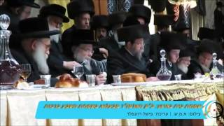 שמחת בית באיאן: האדמו"ר מבעלזא בשמחת השבע ברכות