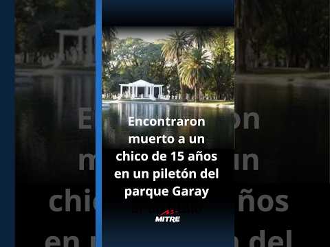 Encontraron muerto a un chico de 15 años en un piletón del parque Garay