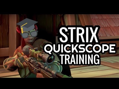 QUICK SCOPE STRIX ! PS4 PALADINS TRAINING !