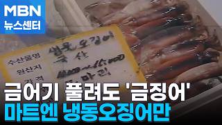 "작은데 비싸요" 금어기 풀렸는데도 '금징어'…1마리 7천 원대 [MBN 뉴스센터]