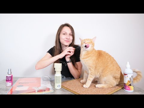Top 5 Best Cat Scratch Deterrents (We Tried Them All)