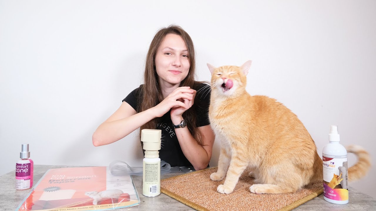 YouTube video preview