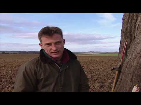 The Battle of Towton Britains Bloodiest Battle DocumentaryLow,480x360, Webm