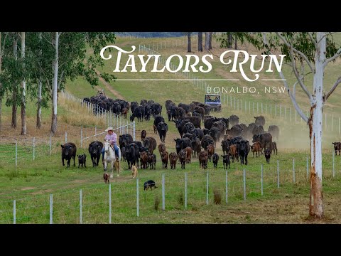 ‘Taylors Run’, Bonalbo, NSW