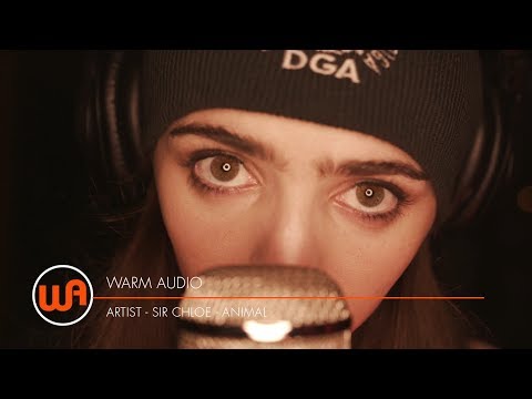 Warm Audio // Sir Chloe "Animal" Live at Johnny Irion's Studio