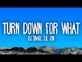 DJ Snake Lil Jon Turn Down For What