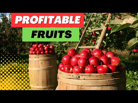 , title : 'Most Profitable Fruits to Grow for a Lucrative Harvest'