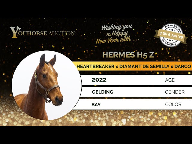 Hermes H5