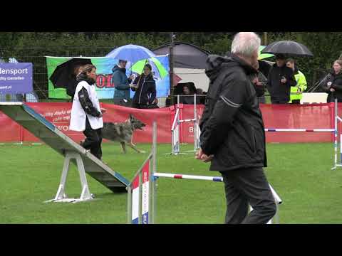 World Championship Agility German Shepherds Slava Gregoric Izzie Pop des legendaires Vanova