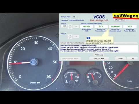 VW Golf 5, 1.9TDI EGR basic settings VCDS test /I do not know what to do/