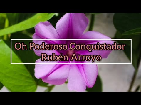 Rubén Arroyo - Oh Poderoso Conquistador Letra