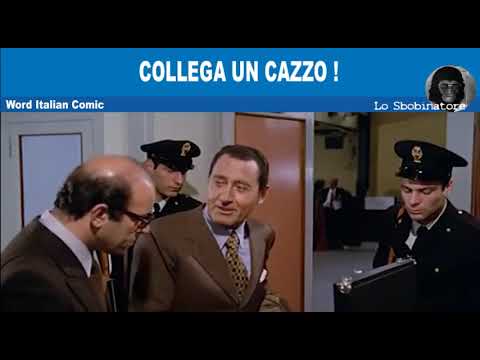 Collega un cazzo #albertosordi