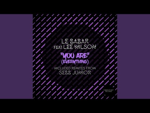 You Are (Everything) (Part 2) (Sebb Junior Remix)