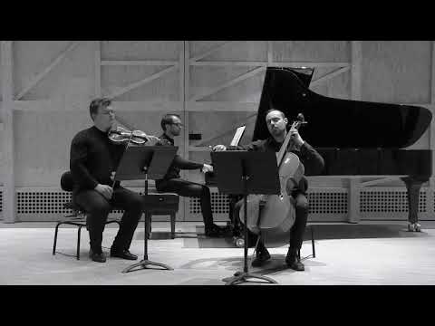 Giovanni Sollima | Reperto n˚12