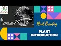 Plant Introduction Plant Breeding Agriculture ICAR JRF