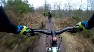 preview picture of video 'cannock chase follow the dog rock rollers (2k)'