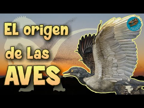 El Origen de las Aves