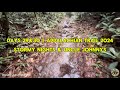 Hiking in Storms | Days 29&30 | Appalachian Trail Thru Hike 2024