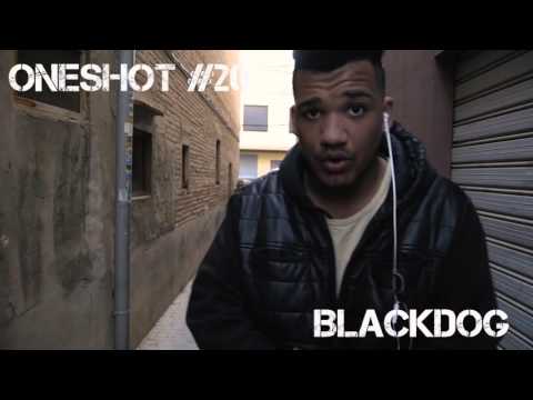 ONESHOT #21 - BLACKDOG / COMPANY SERIES