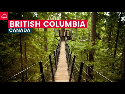 Canada Road Trip: Best Things To Do In British Columbia