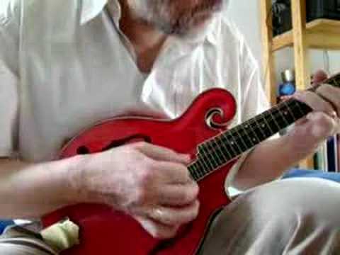 Irish Reel: Johnny's Wedding (mandolin)