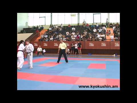 Чемпионат Европы по Кекусин каратэ, Ереван