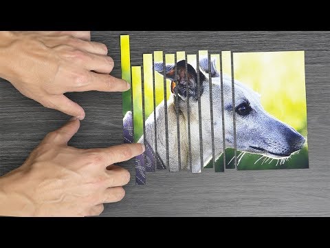 17 Amazing Experiments and Tricks Compilation