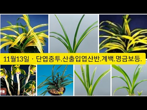 유튜브 썸네일