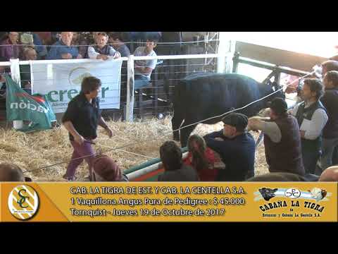 19-10-17 Venta de Vientres Angus y Hereford P.P. - Cabaña La Tigra - Tornquist