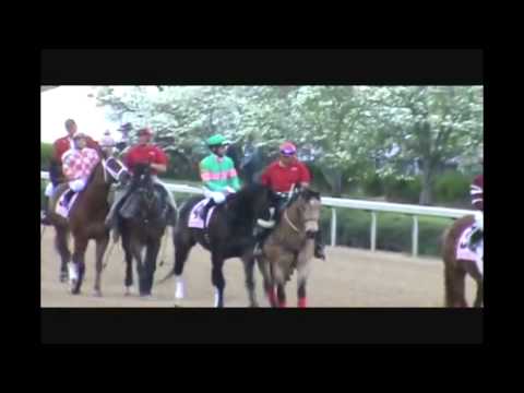 Zenyatta The Worlds Greatest