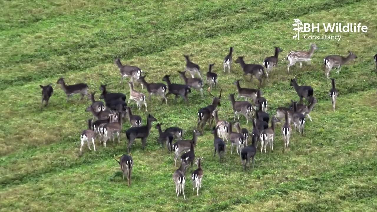 Suffolk Landscape Survey