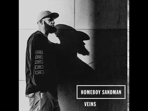 Homeboy Sandman - Veins [full lp]