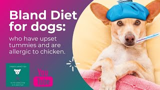 Bland diet for dogs with upset tummies that are allergic to chicken/Vet advice for dog GI problems.