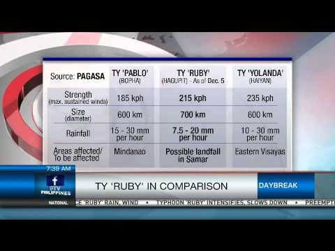 TY "Ruby" In Comparison