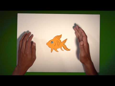 Teaser De jokkebrokker Maas en WAT WE DOEN