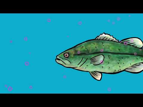 Aquatic and Sediment Passive Sampling Device