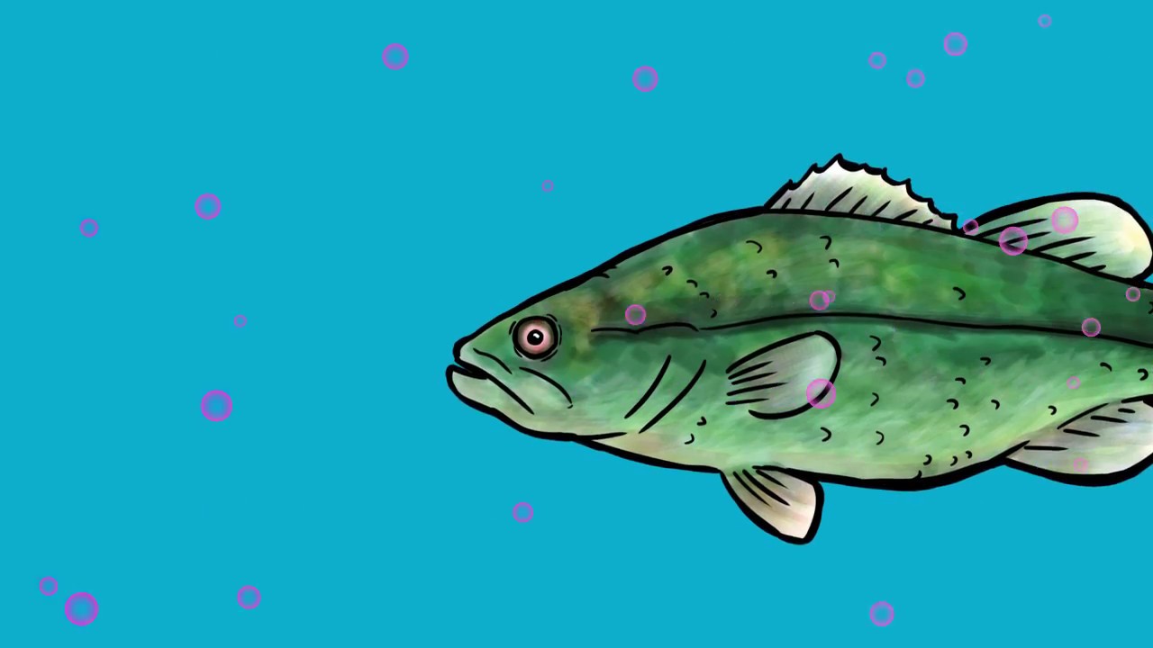 Passive Sampling Devices | Module 3