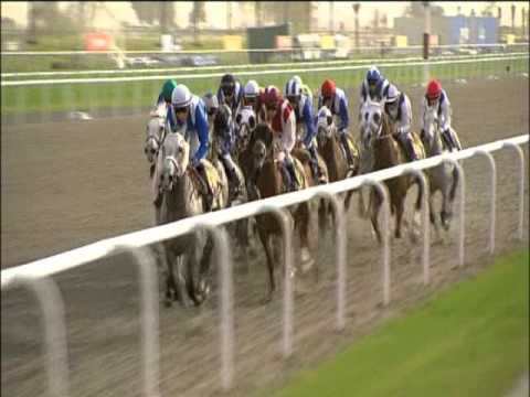 Ichiban-Trip Collection: DWC-2010, Dubai Kahayla Classic