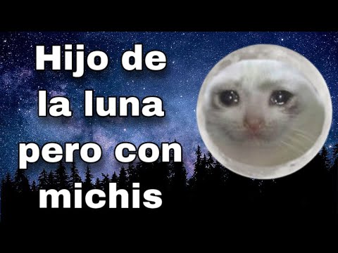 Michi de la luna 🌙