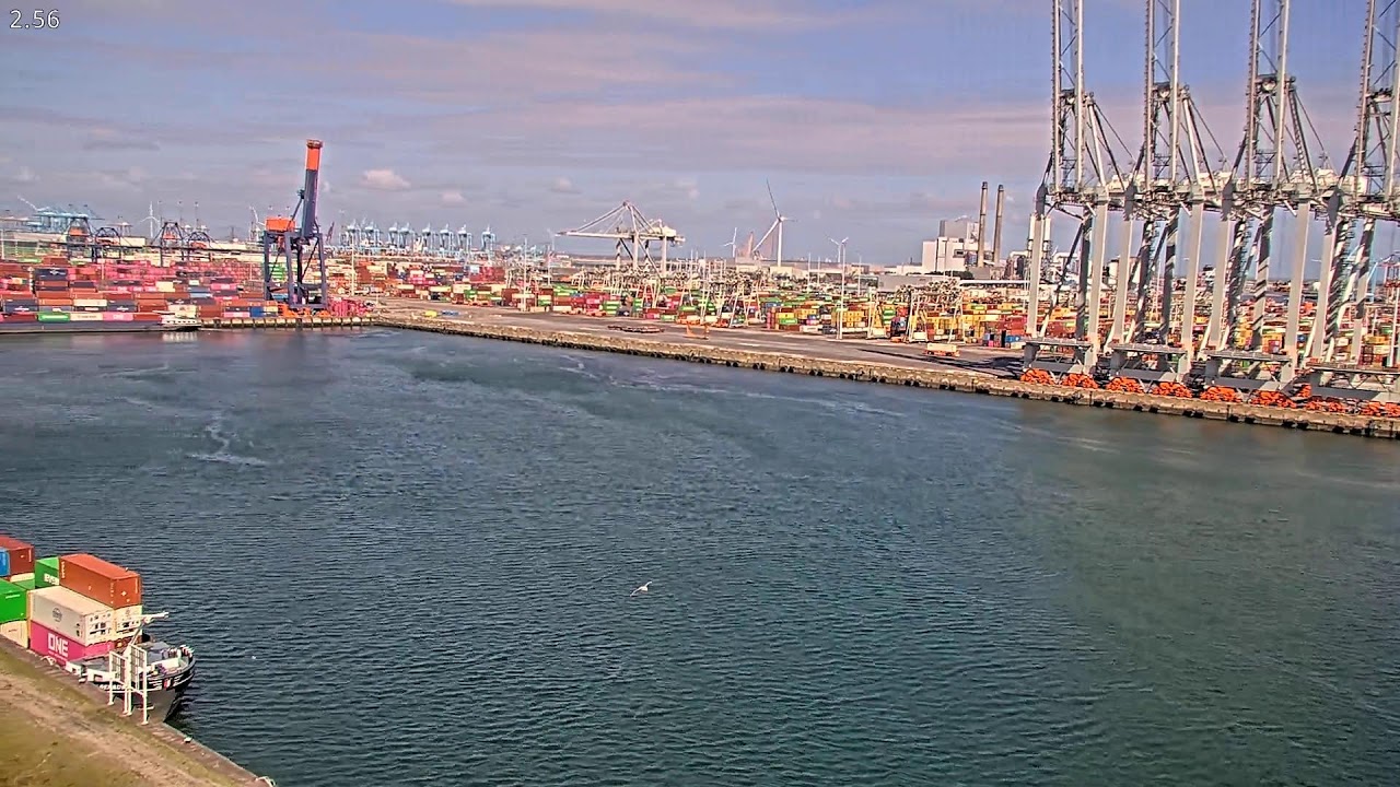 Live webcam view of Terminal de contenedores Amazonehaven