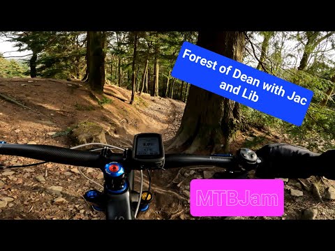 Forest of Dean with Jac and Lib