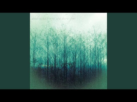 Cingulomania - Last Semester