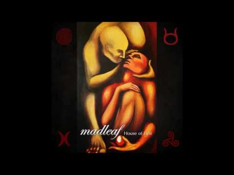 Madleaf - Mold (Official Audio)