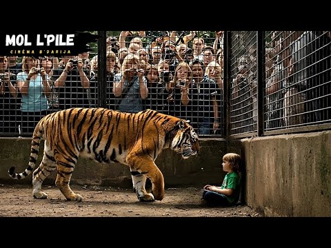 طفلان يجدان نمر مسجون في قفص😱 فقرروا تحريره من صاحبه المجنون😨لكن النهاية صادمة||🎦 ‎ 𝐓𝐡𝐞 𝐓𝐢𝐠𝐞𝐫 𝐑𝐢𝐬𝐢𝐧𝐠