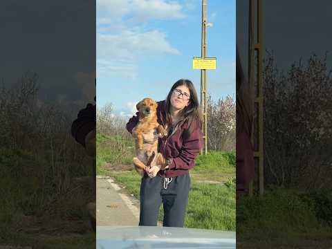 Avem un membru nou în familie 💖 #adoptdontshop #animalrescue