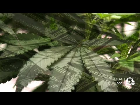 Why did Ohio fine marijuana companies $212,500 this summer?