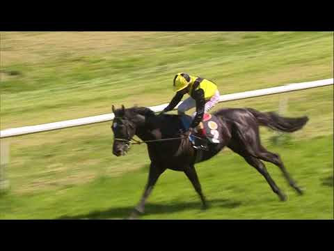 Galopprennbahn Dresden - 05.Mai 2018 - Rennen 6