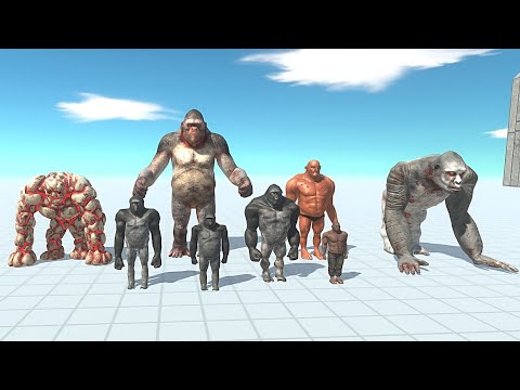 BOXER TEAM VS FACTION - Animal Revolt Battle  Simulator
